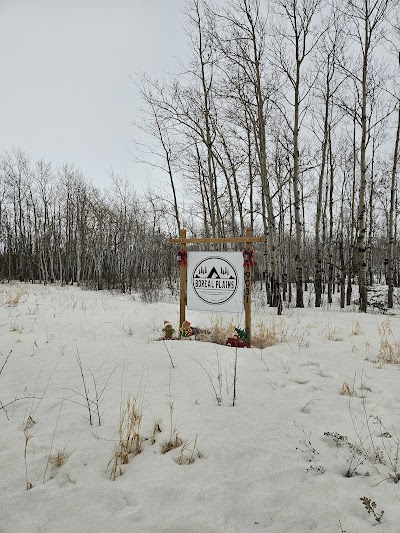 Boreal Plains Manitoba | Plastic Surgeon in ArnesProSculptMD.ca