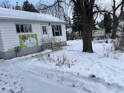 First Look 3D4D ultrasound | Plastic Surgeon in SteinbachProSculptMD.ca