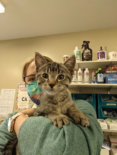 Roblin Veterinary Clinic | Plastic Surgeon in RoblinProSculptMD.ca