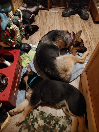 Swan Valley Veterinary Clinic | Plastic Surgeon in Swan RiverProSculptMD.ca